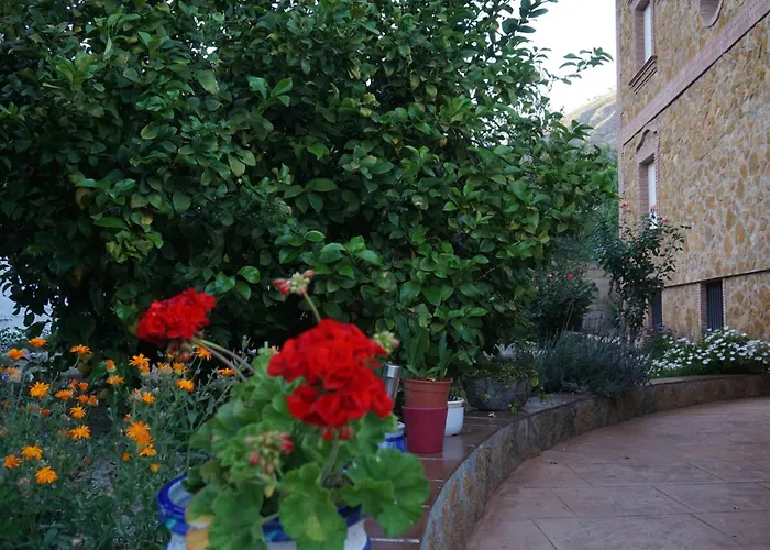 Casa Rural Villa La Gaviota Con Chimenea, Barbacoa Y Piscina Junto A Ruta Del Gollizno En Olivares