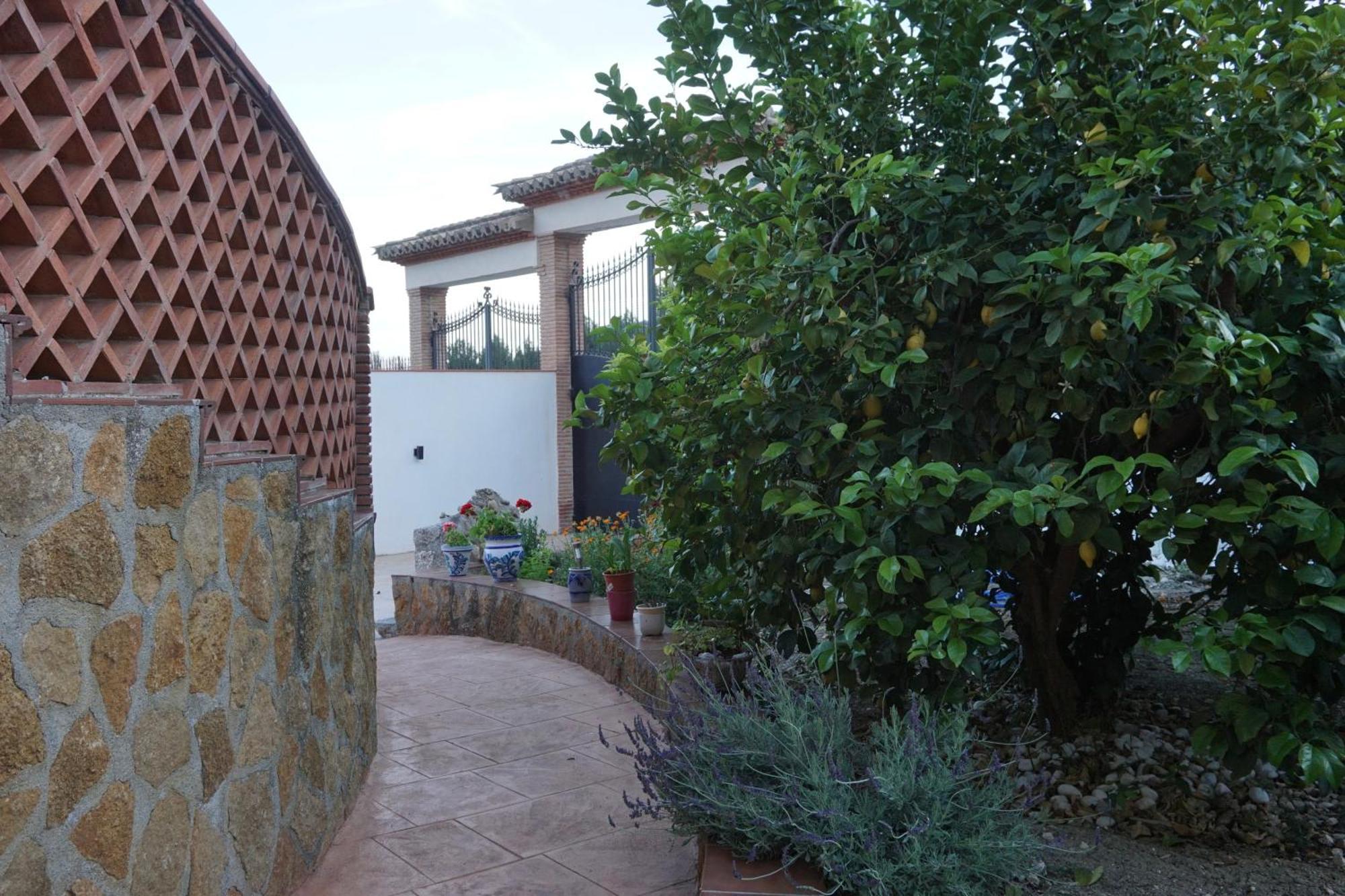 La Gaviota Con Chimenea, Barbacoa Y Piscina Junto A Ruta Del Gollizno En Olivares *